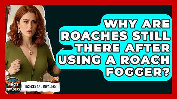 Why Are Roaches Still There After Using A Roach Fogger? - Insects and Invaders