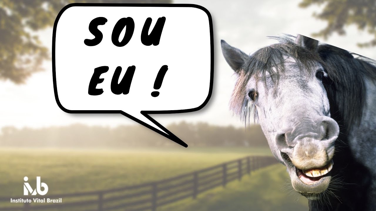 Quem é a estrela na produção de soros?
