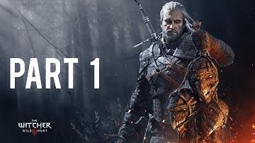 THE WITCHER 3: WILD HUNT Gameplay Walkthrough Part-1 INTRO  (Video Game)