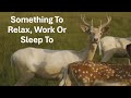 Views of Nature and Relaxing Music