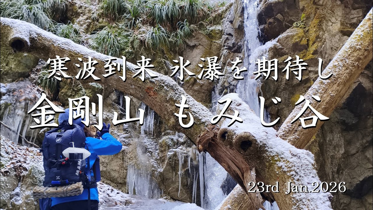 寒波到来 氷瀑を期待し 金剛山 もみじ谷 23rd.Jan.2026