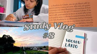 Study Vlog #8 dicas de italiano, ansiedade, fofocas sobre D. Afonso Henriques | Ana Laura Girardi