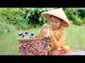 what if little princess shinta jadi tukang jamu - parody video