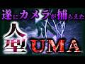 【未確認生物】衝撃映像! ビッグフット似の人型UMA「ジェイコブズ・クリチャー」