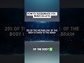 🧠 Your Brain Can REGENERATE: 5 Ways to Grow New Brain Cells 🛑