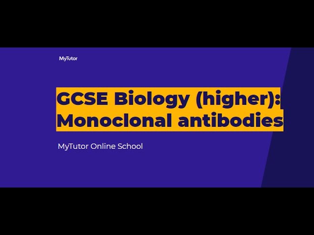 Monoclonal antibodies - live group tutorial - GCSE Biology (Higher)