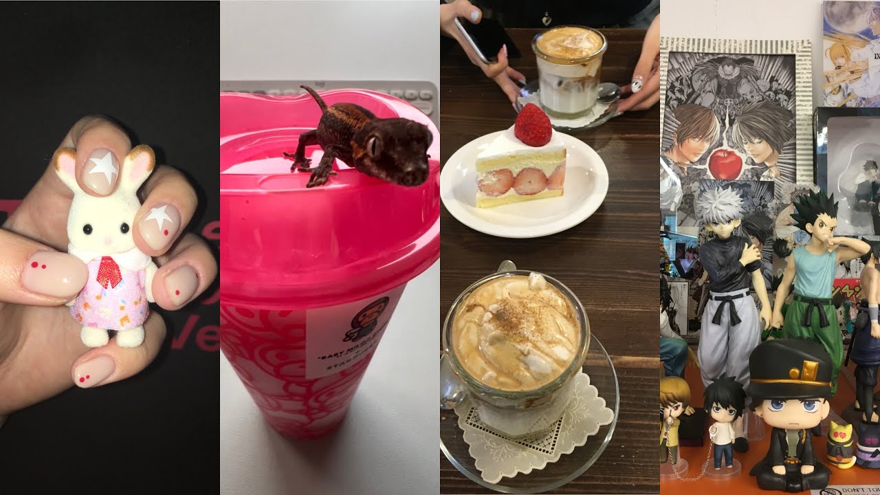 안녕하세요 당분간은 인터넷에 집중하기 위해서 학교를 지우겠습니다 