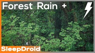 ►10 hours of Forest Rain and Thunderstorm Sounds for Sleeping. Relaxing Rain Sounds: Lluvia Dormir