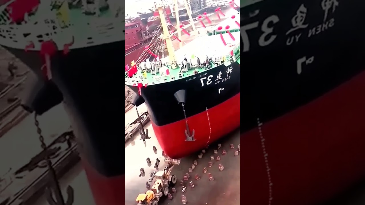 Sheep landing riverside