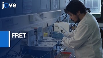 FRET based Sensor for imaging of ATP in Tissue Slices of Brain | Protocol Preview