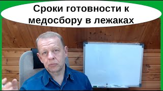 Сроки развития пчёл к главному медосбору по методу деления на пол-лёта в ульях-лежаках