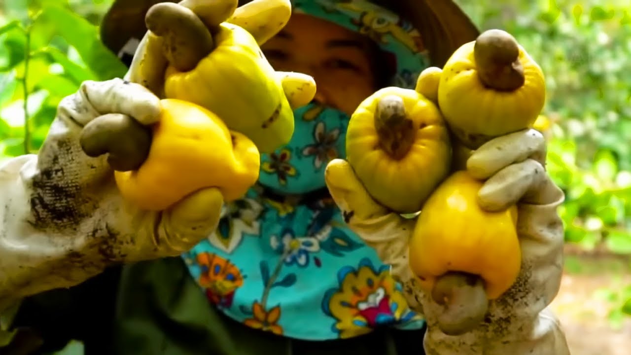 Ресейлік бисексуалдар Олар қыздың басына сипалады