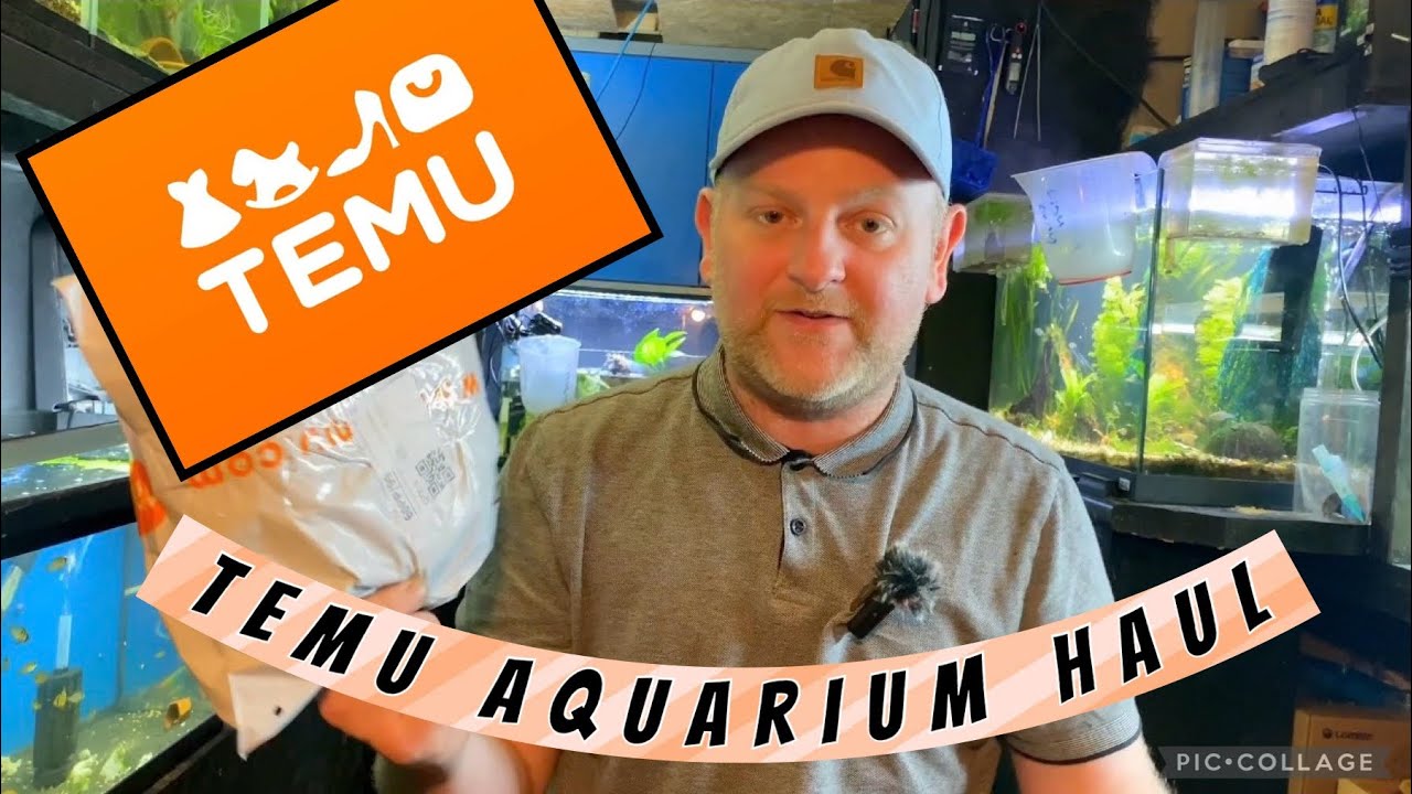 Доставка аквариумной продукции Temu, а также новое средство для удаления ряски 3000