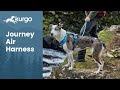 Kurgo Journey Air Dog Harness