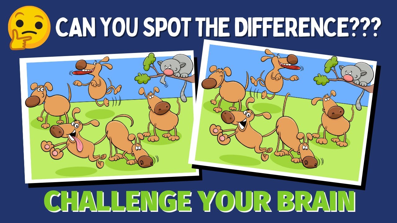 Spot the Difference - Fun Photo Puzzle for Kids! Child Friendly - YouTube
