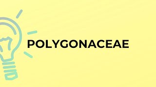 What is the meaning of the word POLYGONACEAE