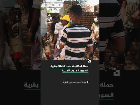 إطلاق حملة لمكافحة حمى الضنك بقرية السوريبة جنوب ولاية الجزيرة السودانية