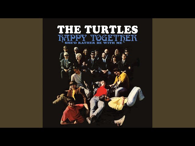 Turtles - Guide For The Married Man