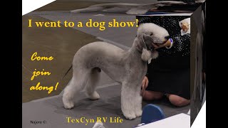 Dog Show! Houston KC 7 22 22 A few breeds and Saluki judging!