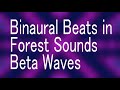 Binaural Beats Beta Waves for Focus,Creativity / 覚醒　集中力UP　創造性UP　バイノーラルビート　ベータ波