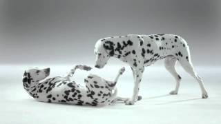 Become a SkinChecker with La Roche Posay®