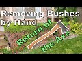 Bush Removal by Brute Force - No Power Tools - Just a Pruner, Axe, and Saw