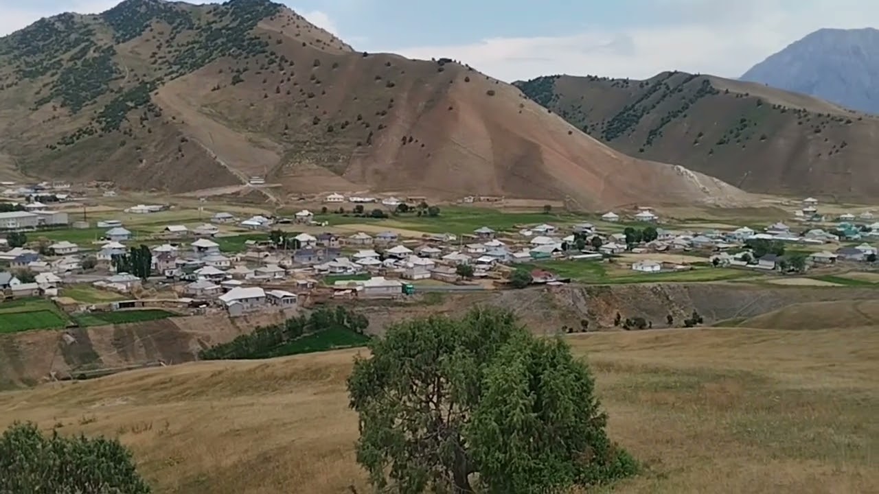 30 января 2026 г.