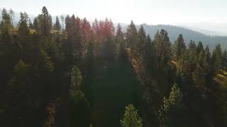 Missoula's Most Breathtaking Mountaintop Land | Panoramic Views of the Bitterroot Valley