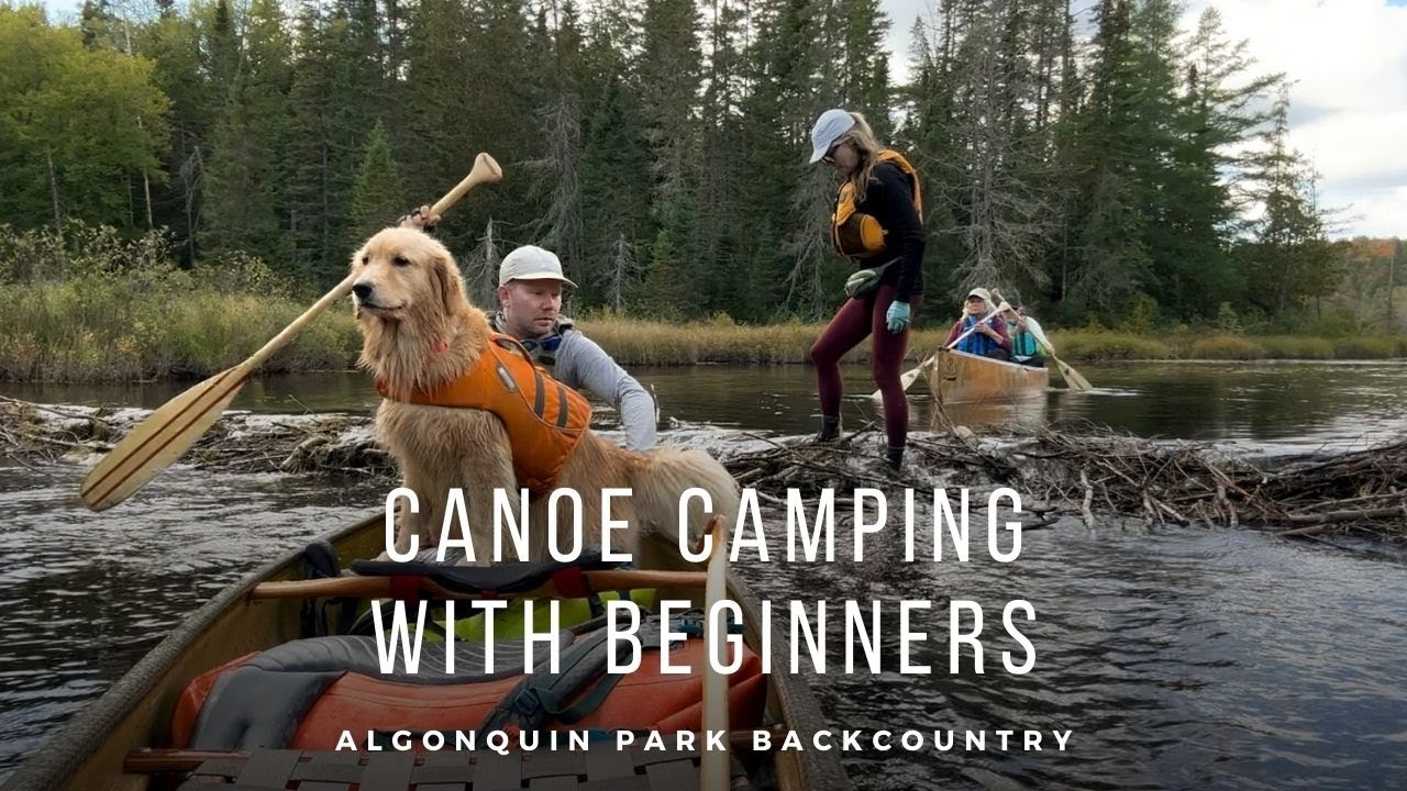 Canoe Camping with Beginners, Algonquin Park Backcountry
