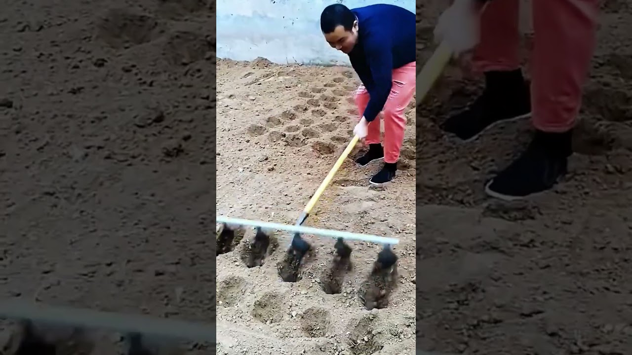 Five-harrow plough hoe - good tools and good machinery make work easier