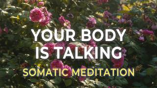 Listen to Your Body Before It Has to Shout | Gentle Somatic Meditation