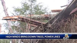High winds bring down tree, powers in the area
