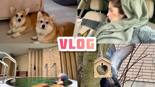 Почему я пропала 👶🏼 Поменяла права💳 СПА для беременных 🤰🏽ДРАКА ЗА ЕДУ!  VLOG by Nika&Co  14,034 views 1 month ago 16 minutes