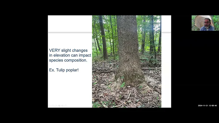 An Overview of Bottomland Hardwood Forests