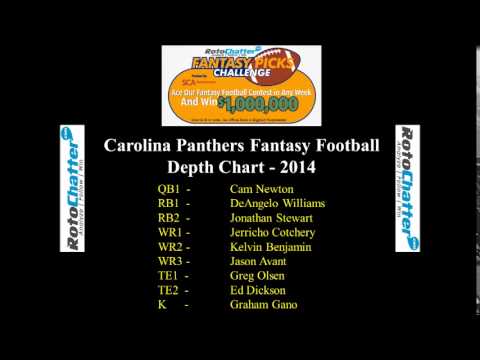 Panthers 2014 Depth Chart