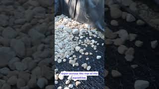 AquaBlox are IN! Time to add all three gradations of gravel to the wetlands! More Coming Soon!!