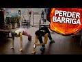 Os dois melhores exerccios para perder barriga garantido