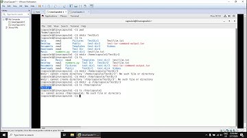 020. Linux Capsule - LSA 1-1 - Capsule 2 - Section 3 - Managing Files ( Part 1 )