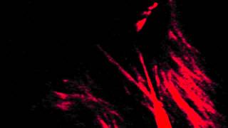 Asylum Lake paranormal investigation part 1