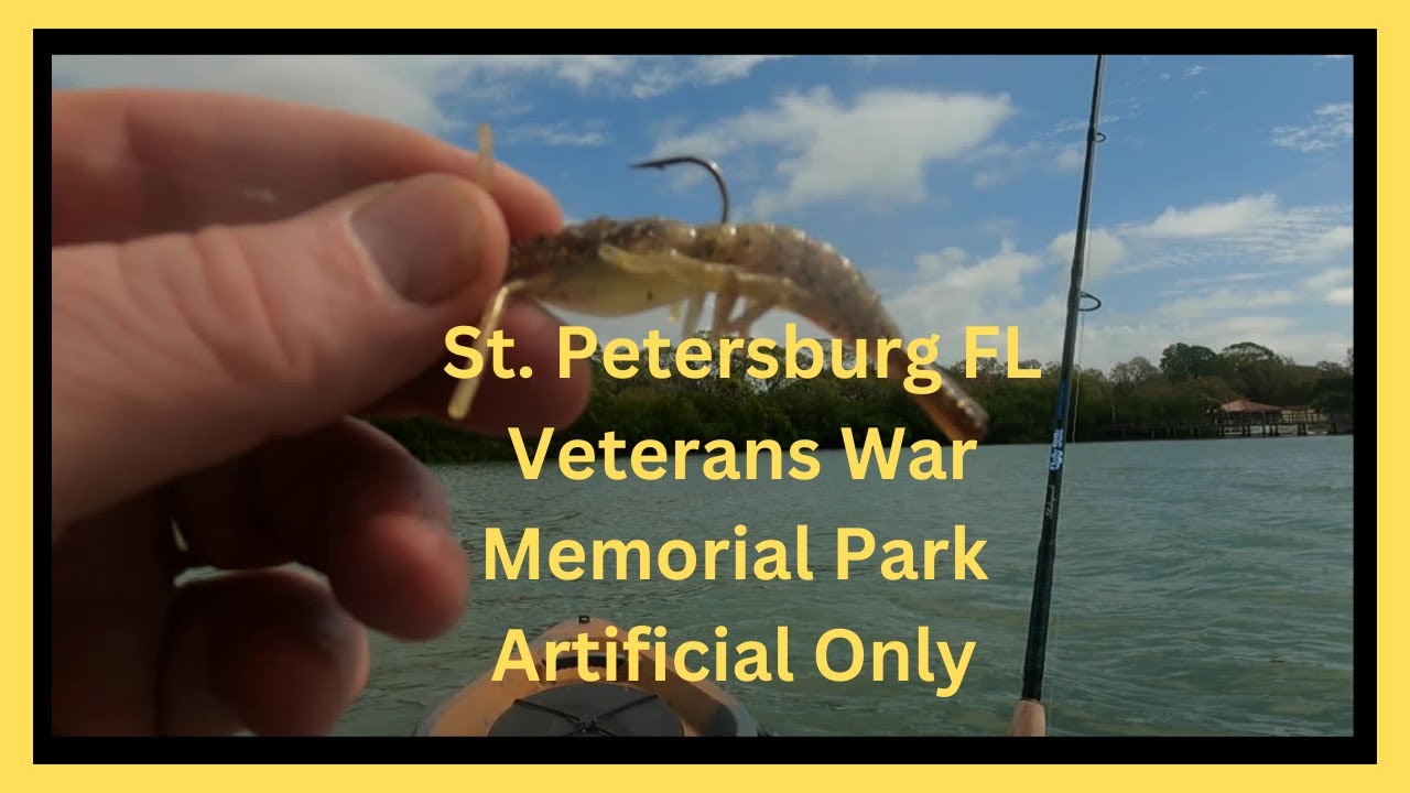 Fishing St. Petersburg Fl Veterans Memorial Park Kayak Launch YouTube