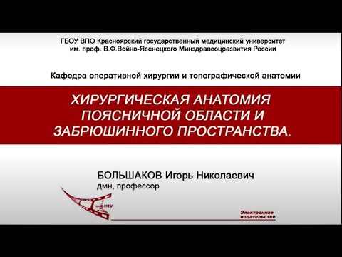 Большаков И. Н. Хирургическая анатомия поясничной области и забрюшинного пространства.