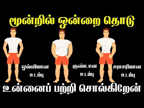 3 Body Shapes Personality Traits | உன்னைப் பற்றி சொல்கிறேன் | T Tamil Technology