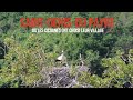 Ref:2KQjp-TVjvs Saint-denis-du-payr�, o� les cigognes ont choisi leur village.