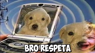 Shitposting Compilation V21