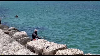 Download Lagu As seas rise around Alexandria, ancient city faces crumbling housing | REUTERS MP3 Download Lagu As seas rise around Alexandria, ancient city faces crumbling housing | REUTERS MP3