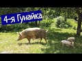 4-Я ГУНАЙКА - ТУАПСИНСКАЯ ГЛУБИНКА, ГЛУБЖЕ НЕКУДА