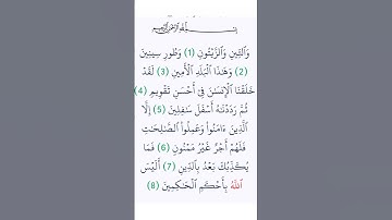 سورة التين تلاوه خاشعه/كريمو العربي