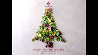 Celebrity Auguri in Cantina 2018 Profile
