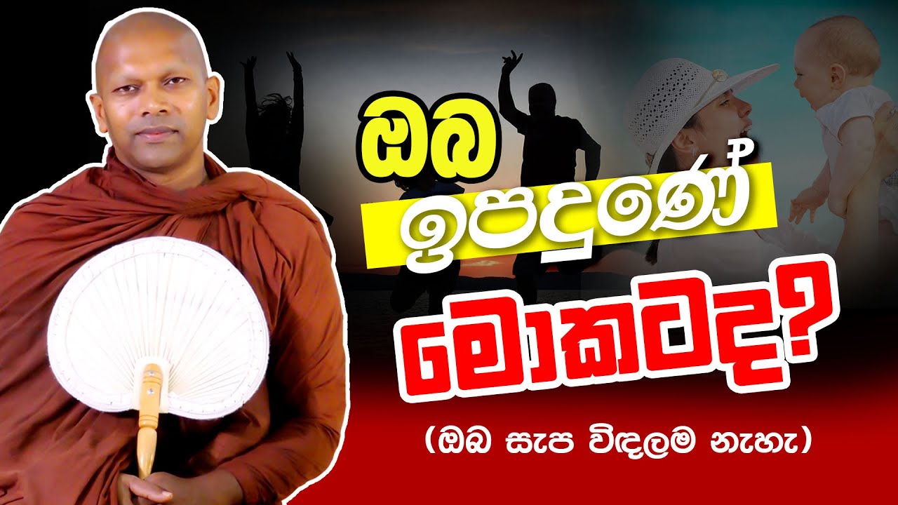 ඔබ ඉපදුණේ මොකටද  | Ven. Handapangoda Nivathapa Himi