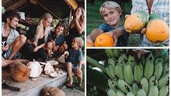 A DAY IN OUR HAWAII LIFE | Big Island Abundance  - Durasi: 17:53. 